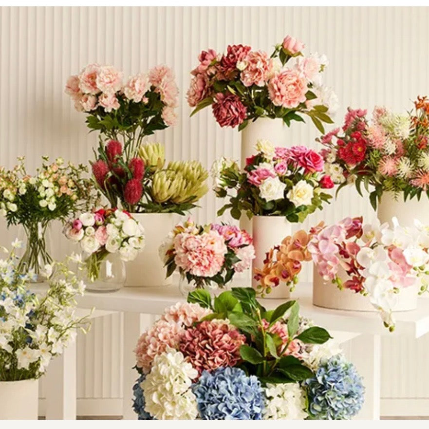 Flowers & Plants