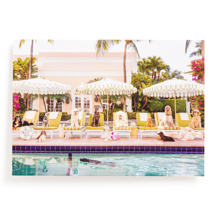 Galison Gray Malin Palm Beach Pool Day Puzzle 1000pcs