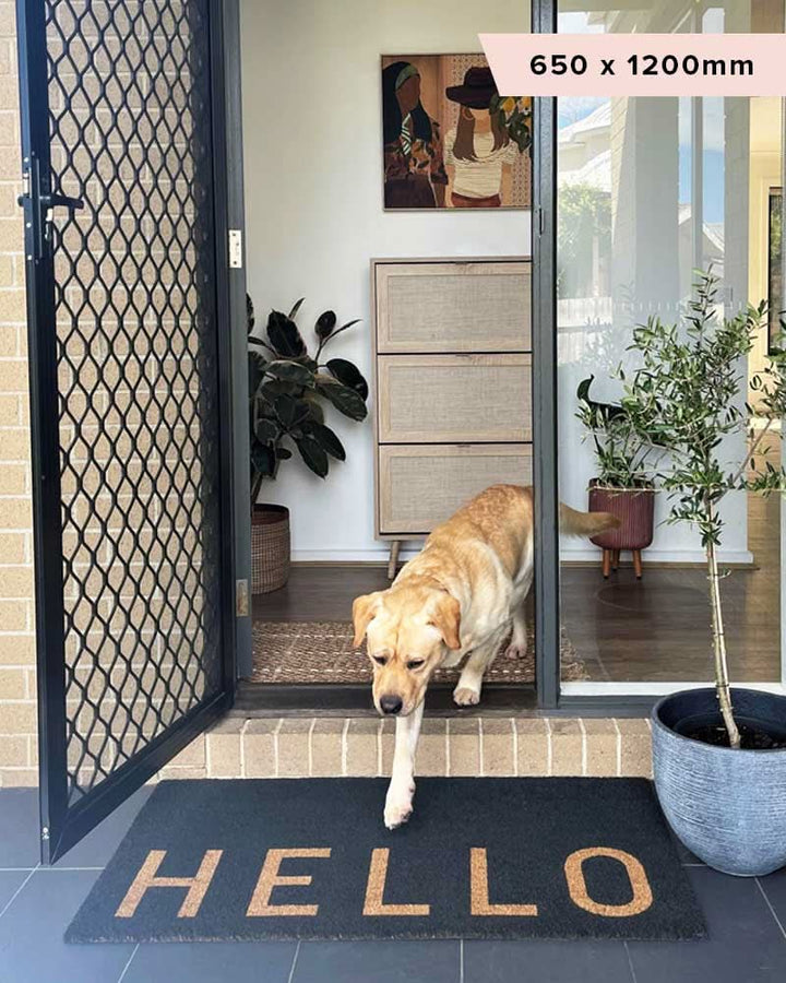 CHARCOAL NATURAL HELLO