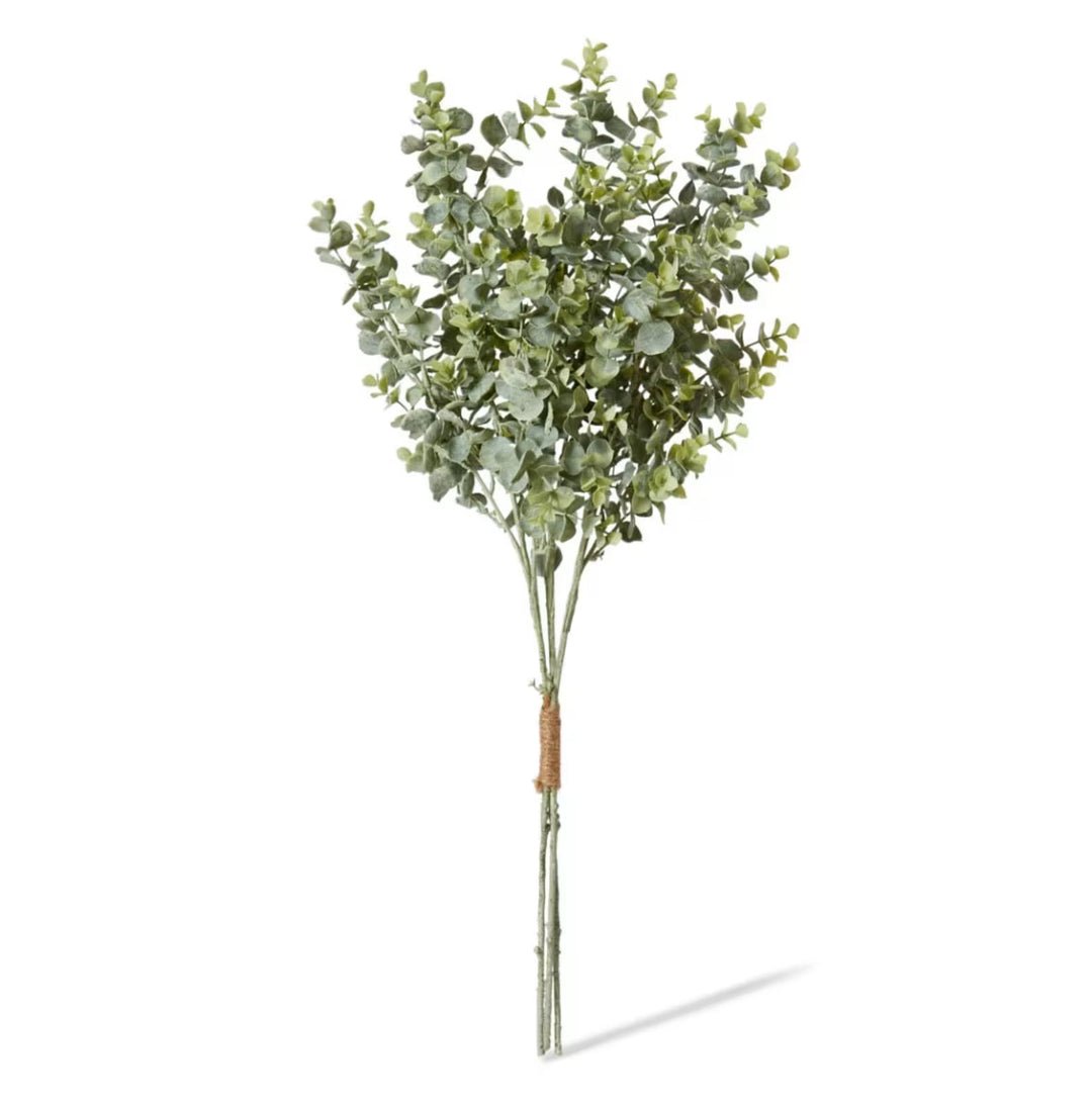Eucalyptus Bundle - 35 x 35 x 64cm