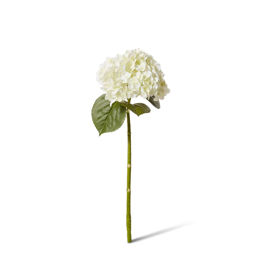 Hydrangea Classic Stem White