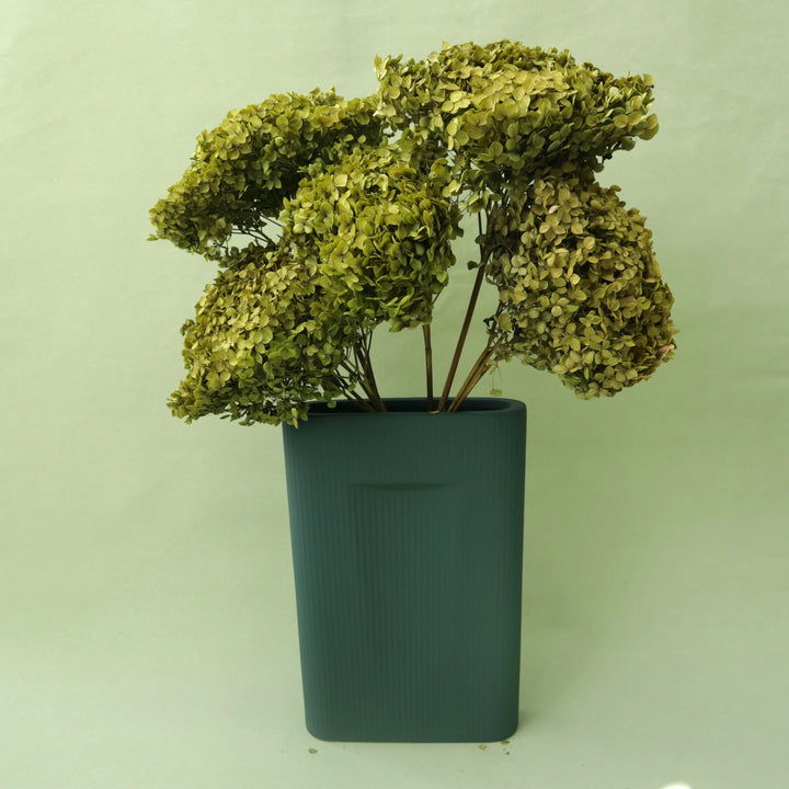 Preserved Hydrangea Green