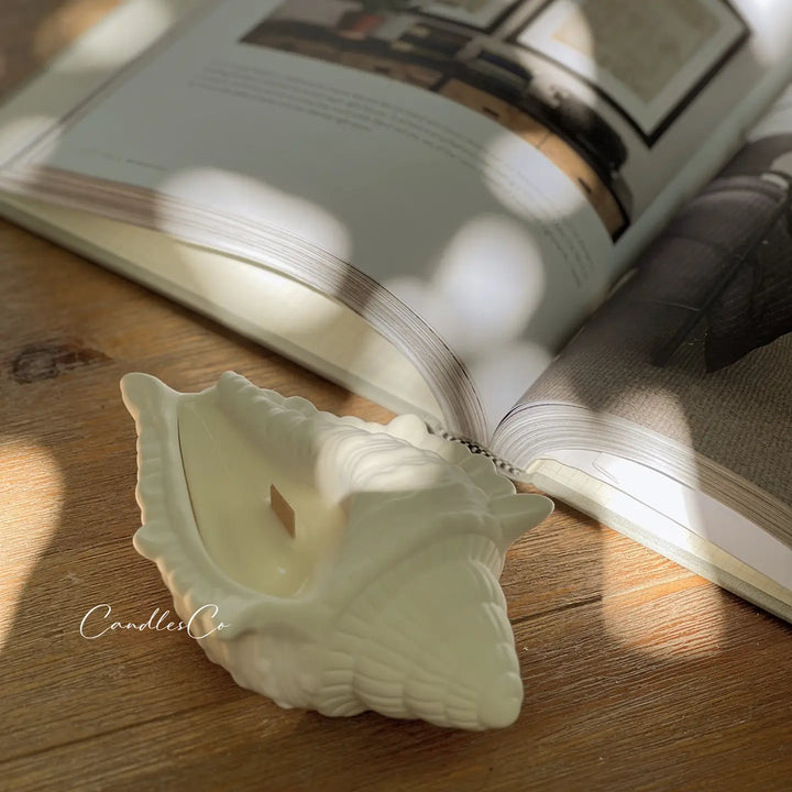 Large Seashell Candle