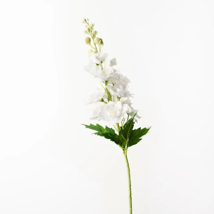 Delphinium White