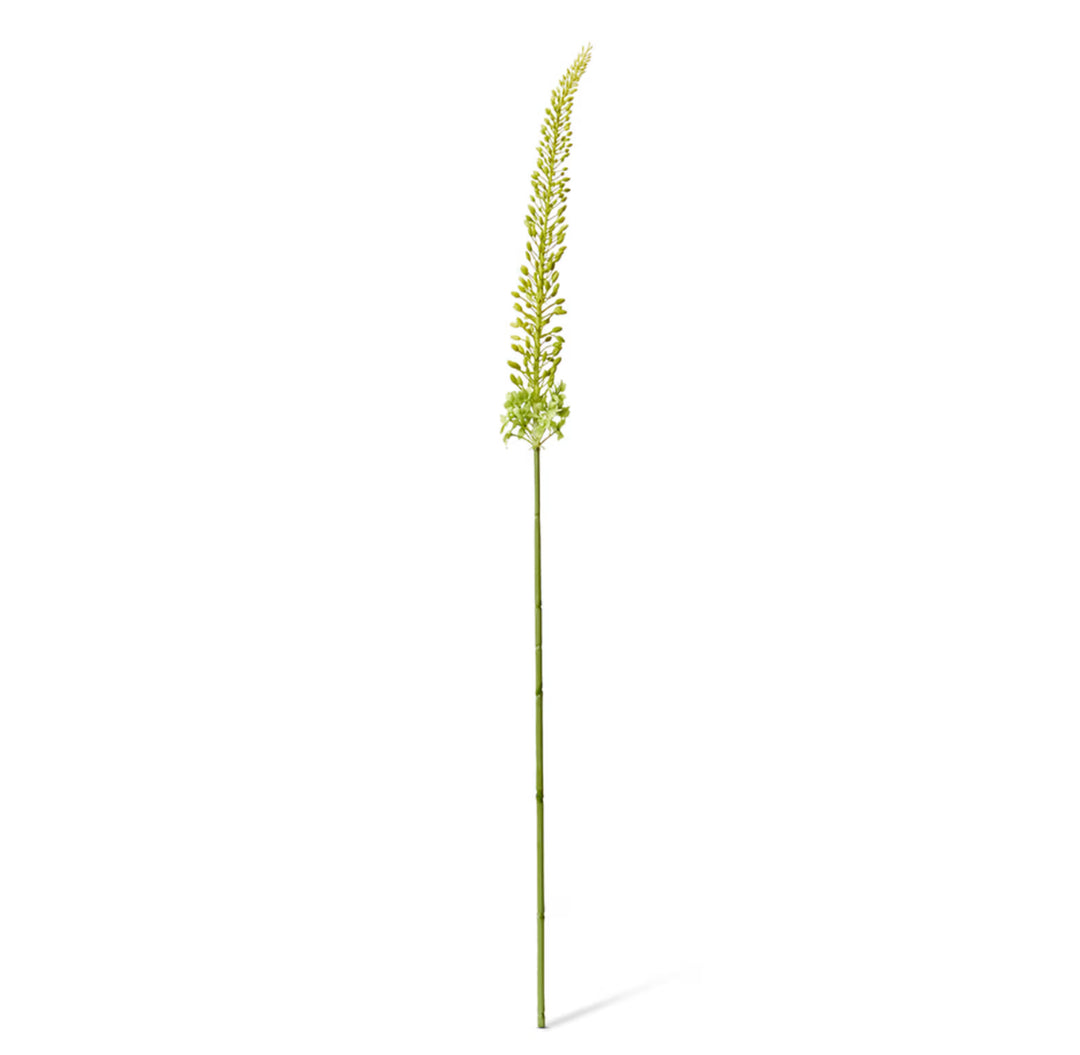 Foxtail Lily Stem
