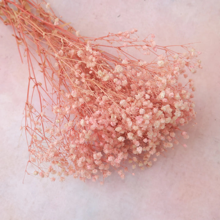 Baby's Breath Soft Pink