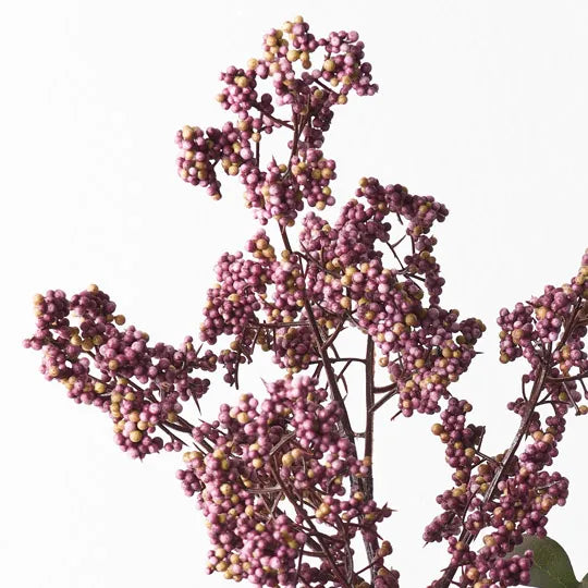 Berry Pepper Spray Pink Burgundy