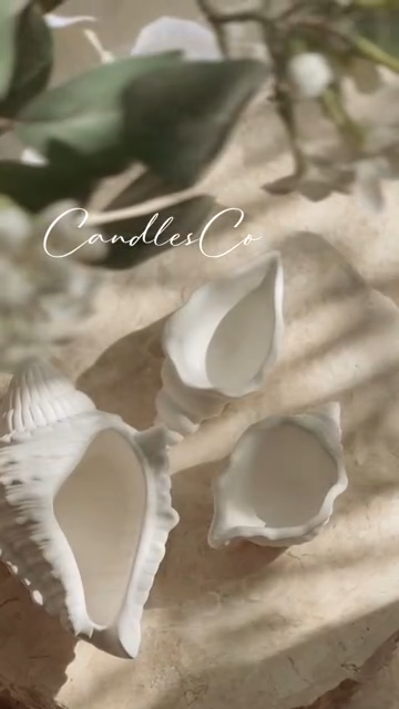 Balmoral Shell Vessel