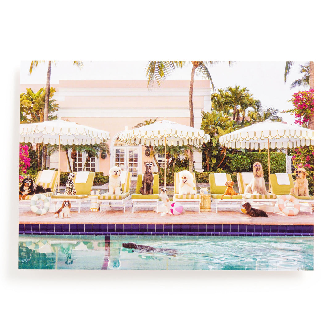Galison Gray Malin Palm Beach Pool Day Puzzle 1000pcs