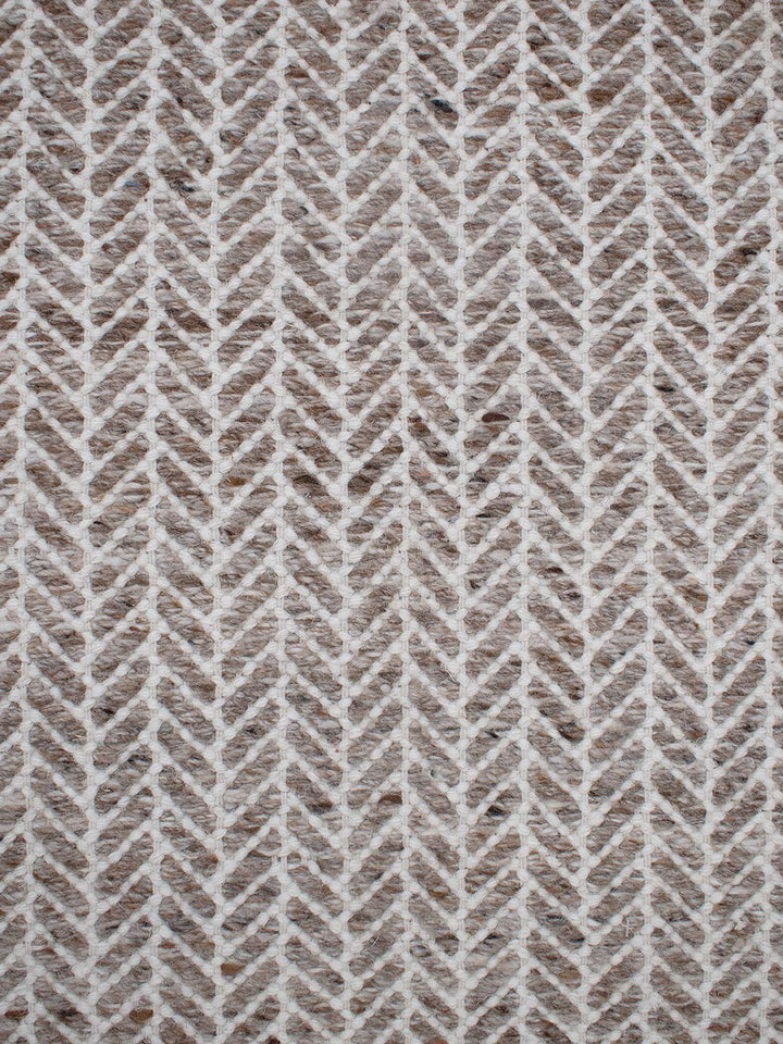 Echo Tawny