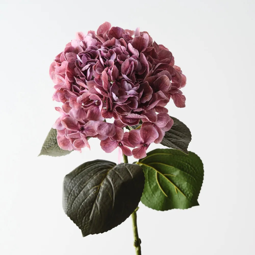Mauve Hydrangea - Fresh Touch