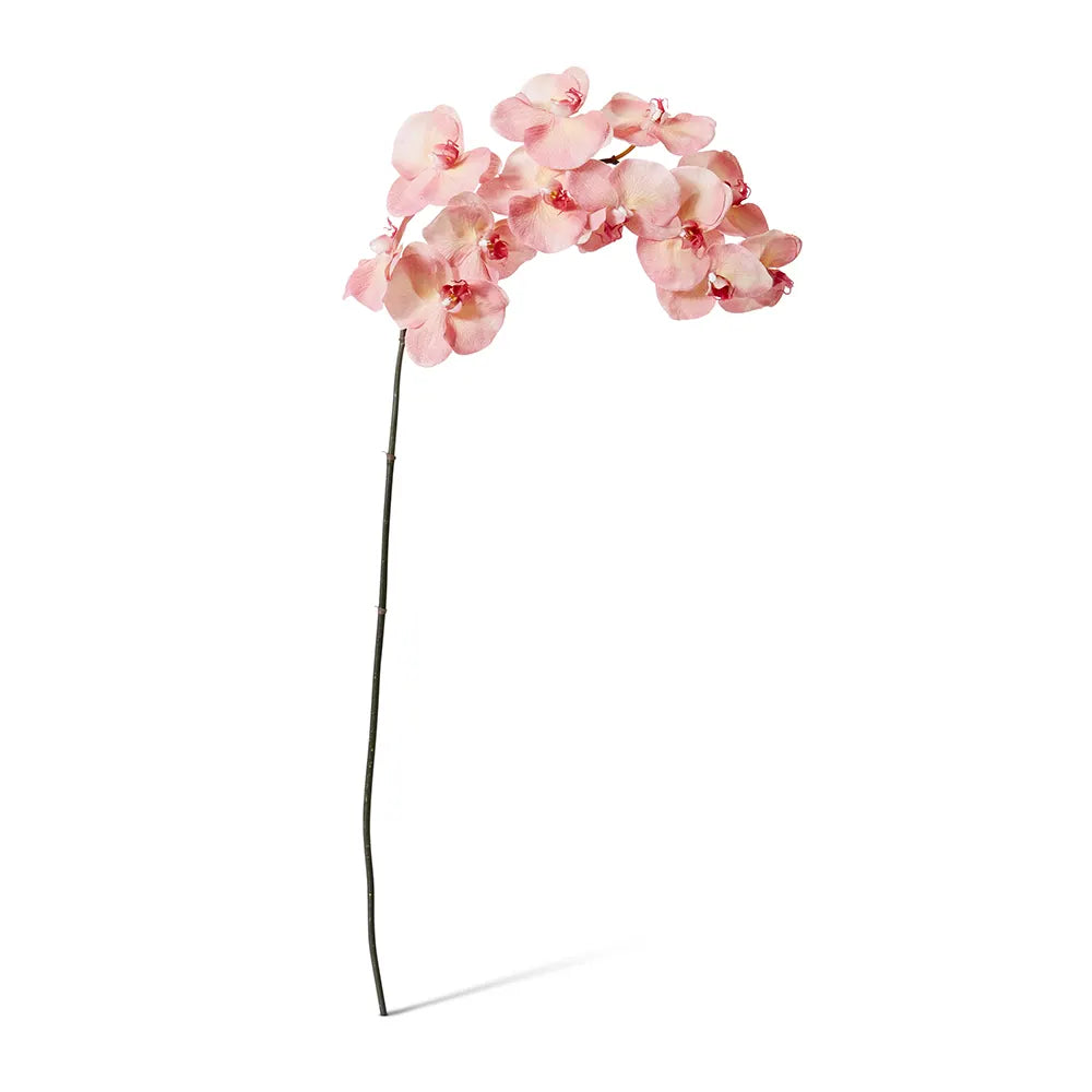 Phalaenopsis Orchid Stem Pink 112cm