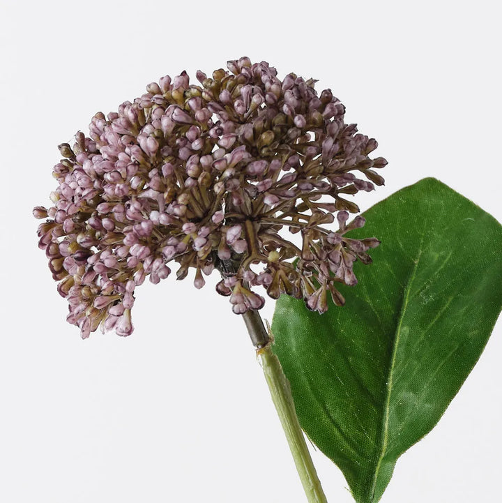 Allium Spray - Lavender