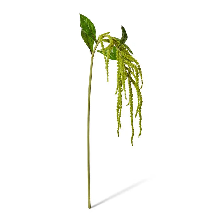 Amaranthus Spray Green - 18 x 15 x 114cm