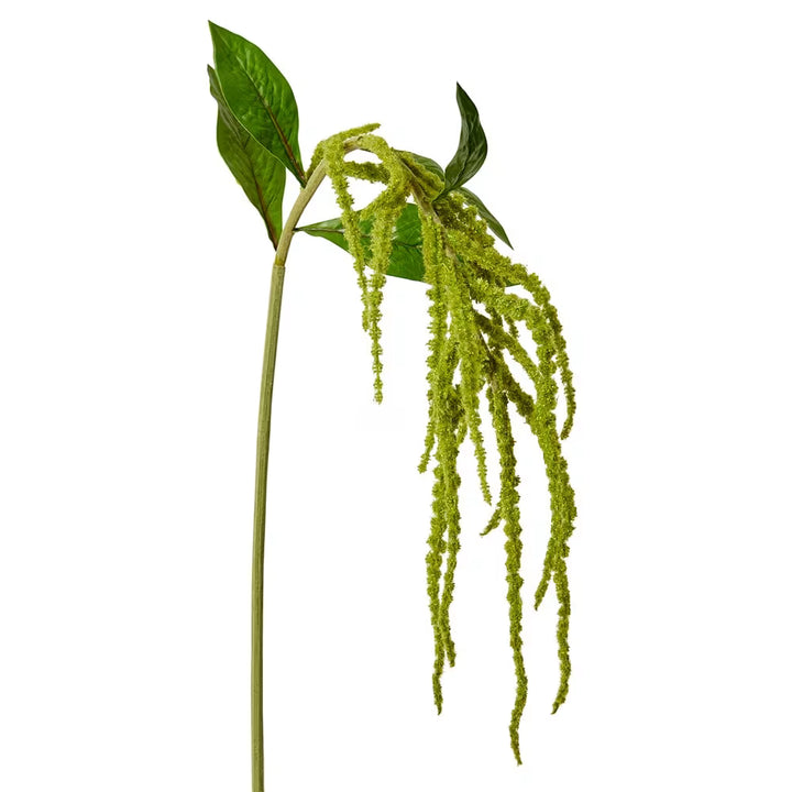 Amaranthus Spray Green - 18 x 15 x 114cm