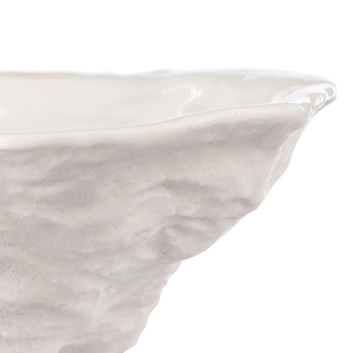 Baylor Shell Plate