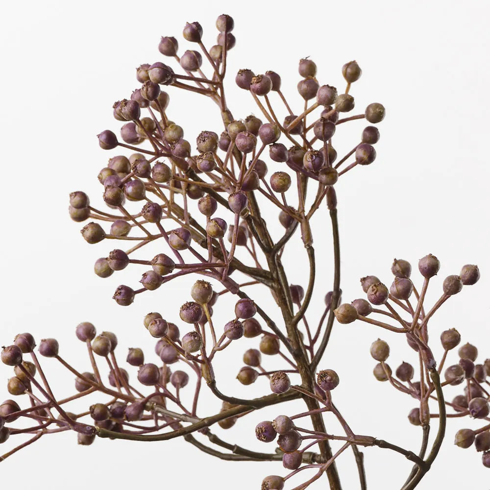 Berry Spray Lavendar