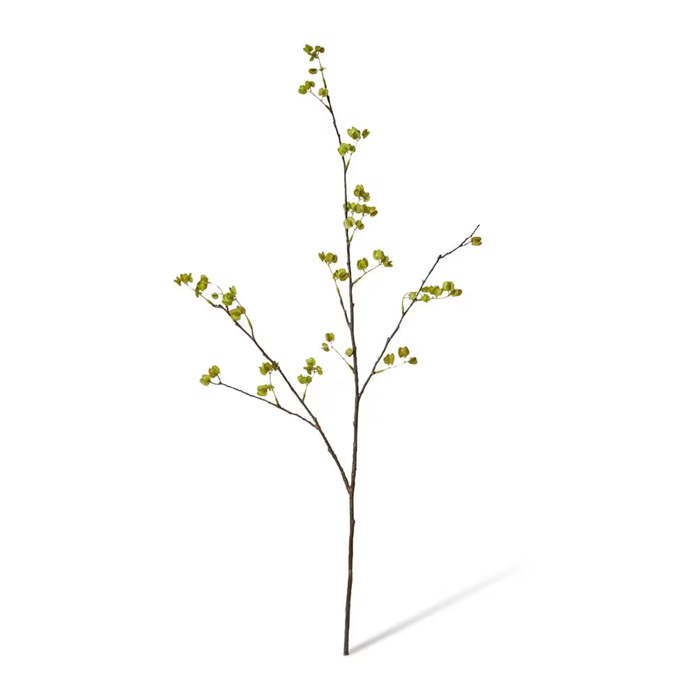 Elm Seeding Spray Green - 34 x 24 x 84cm