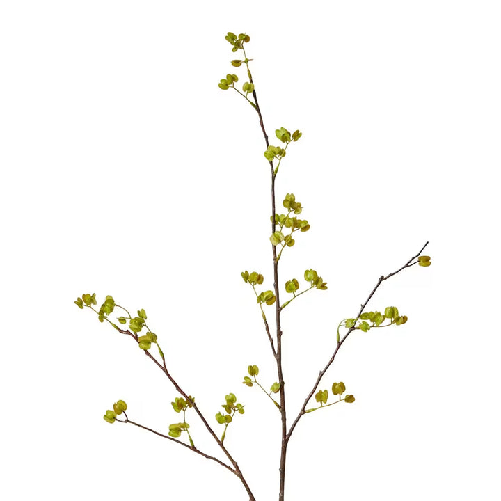 Elm Seeding Spray Green - 34 x 24 x 84cm