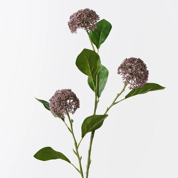 Allium Spray - Lavender