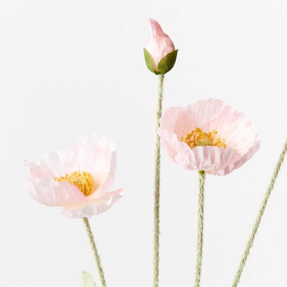 Light Pink Iceland Poppy Spray