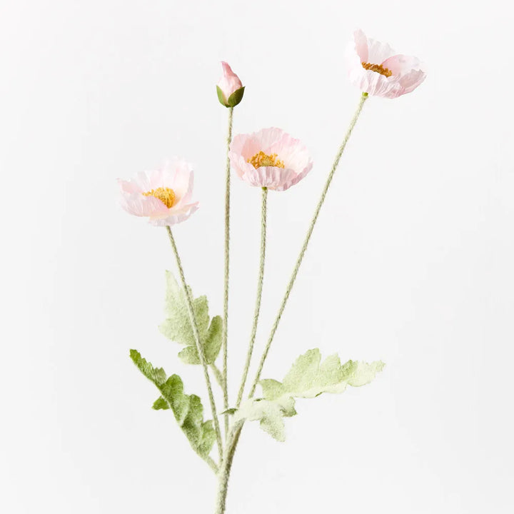 Light Pink Iceland Poppy Spray
