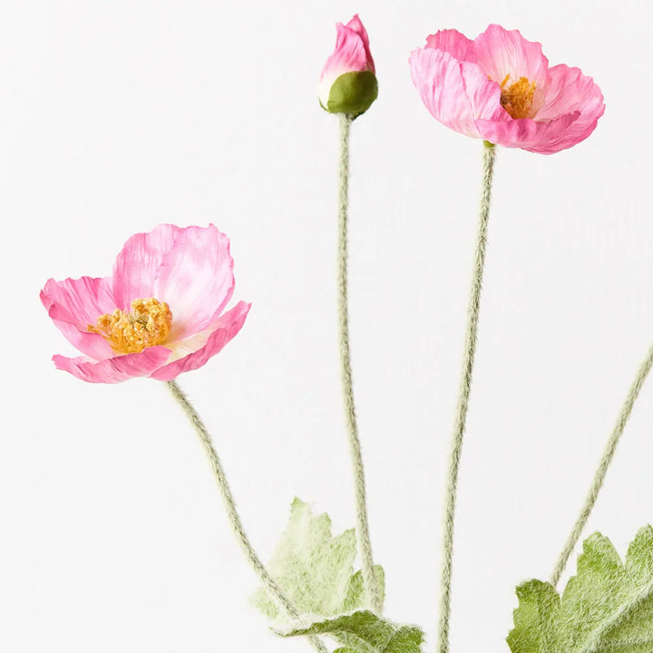 Poppy Iceland Spray - Fuscia