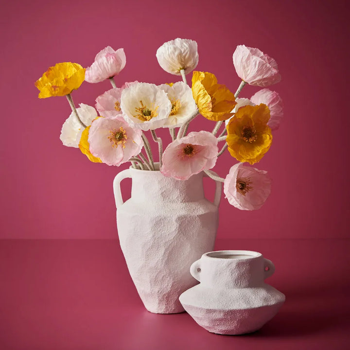 Iceland Poppy White