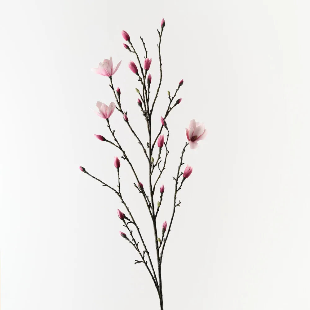 Japanese Magnolia Spray