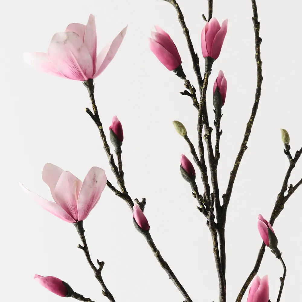 Japanese Magnolia Spray