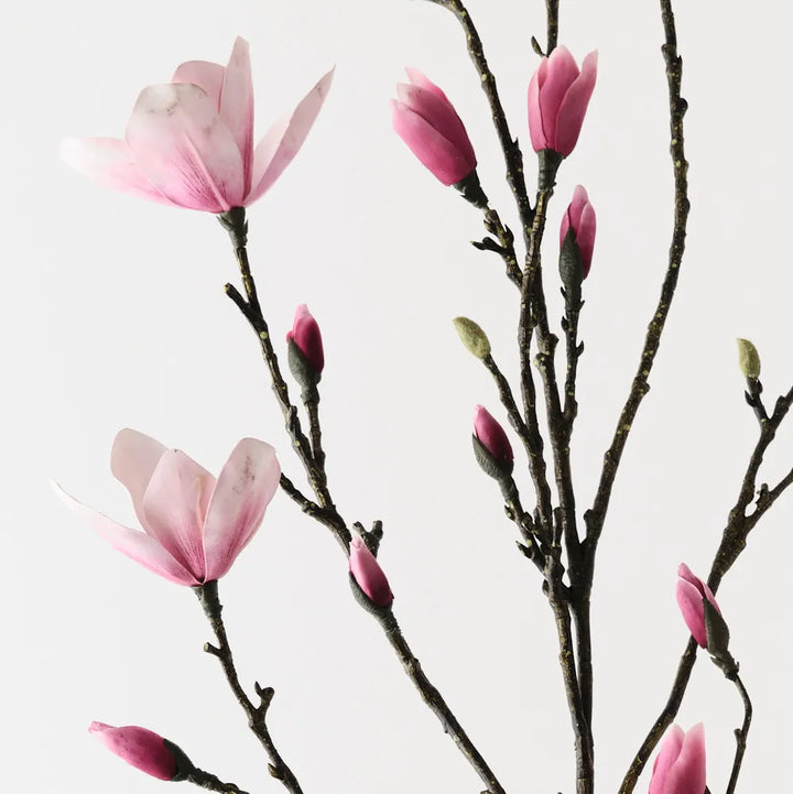 Japanese Magnolia Spray