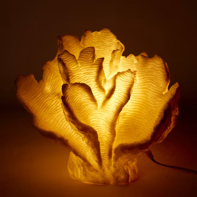 The Eliza Coral Lamp