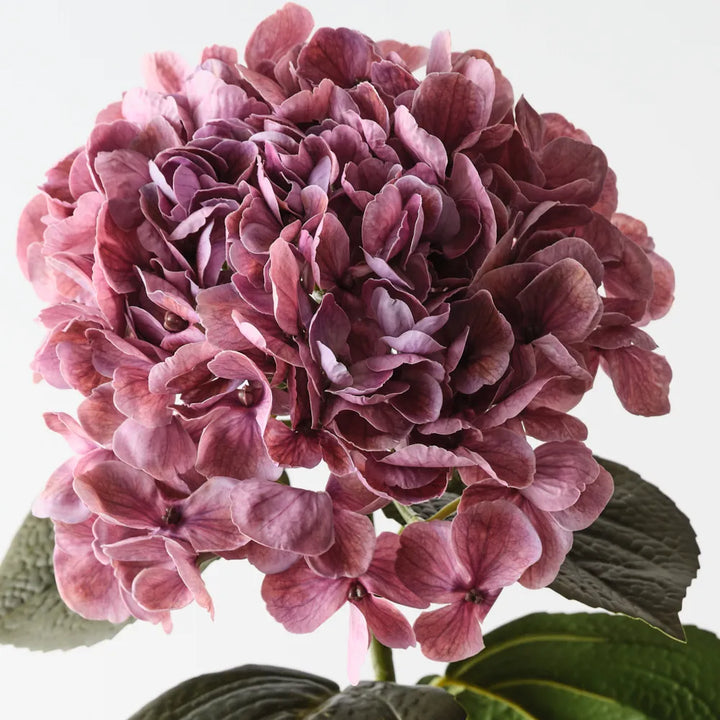 Mauve Hydrangea - Fresh Touch