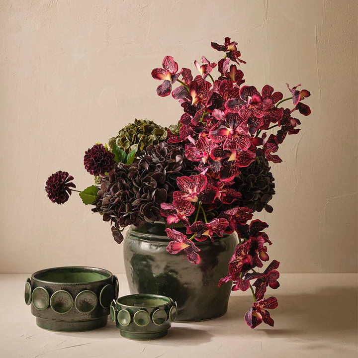 Hydrangea - Green Olive
