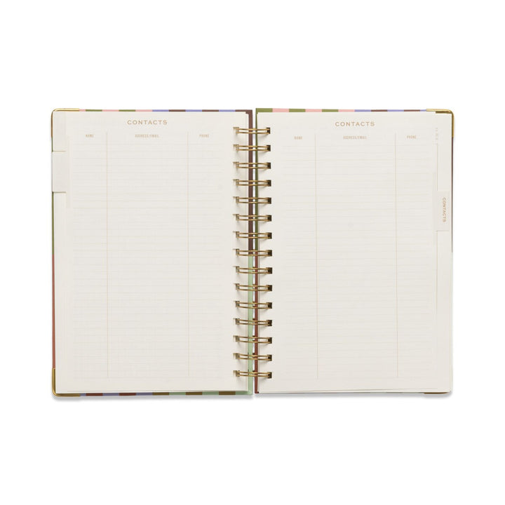 Perpetual Planner - Bold Stripe