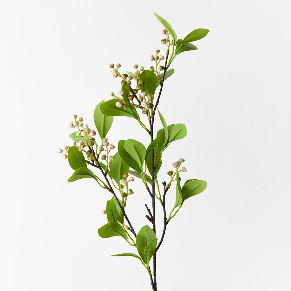 Seed Spray - Pink Green