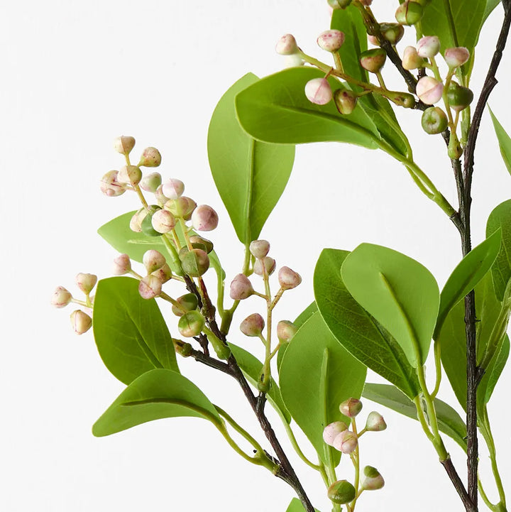 Seed Spray - Pink Green