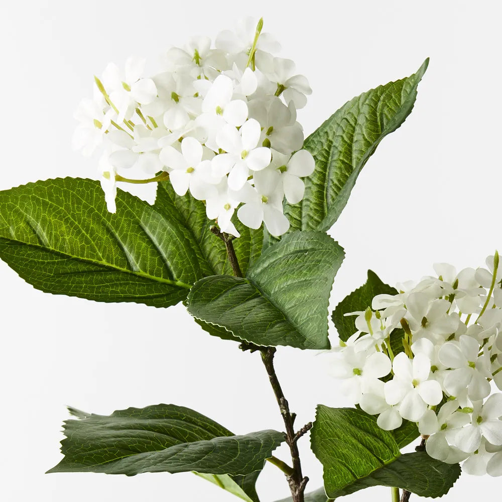 Hydrangea Spray
