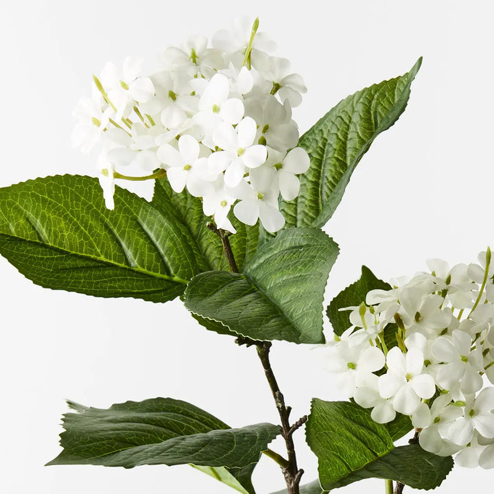 Hydrangea Spray
