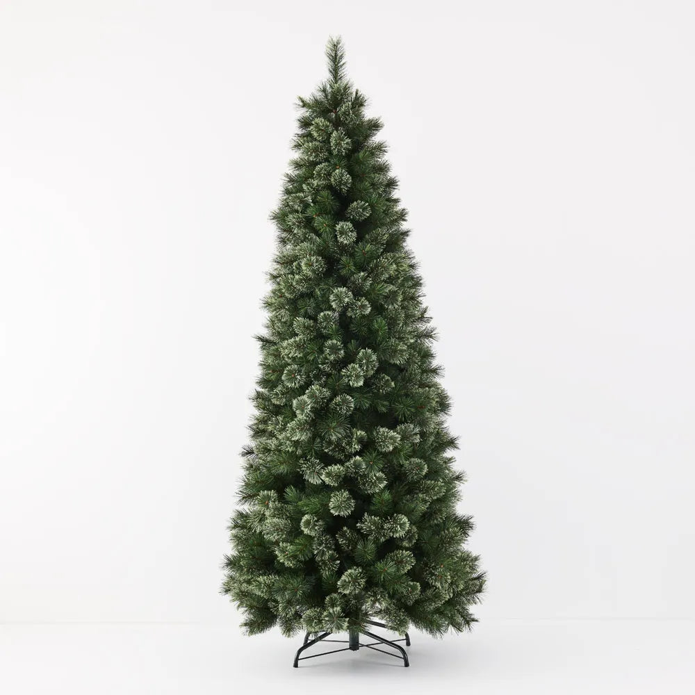 Alaskan Tree Pine 240cm