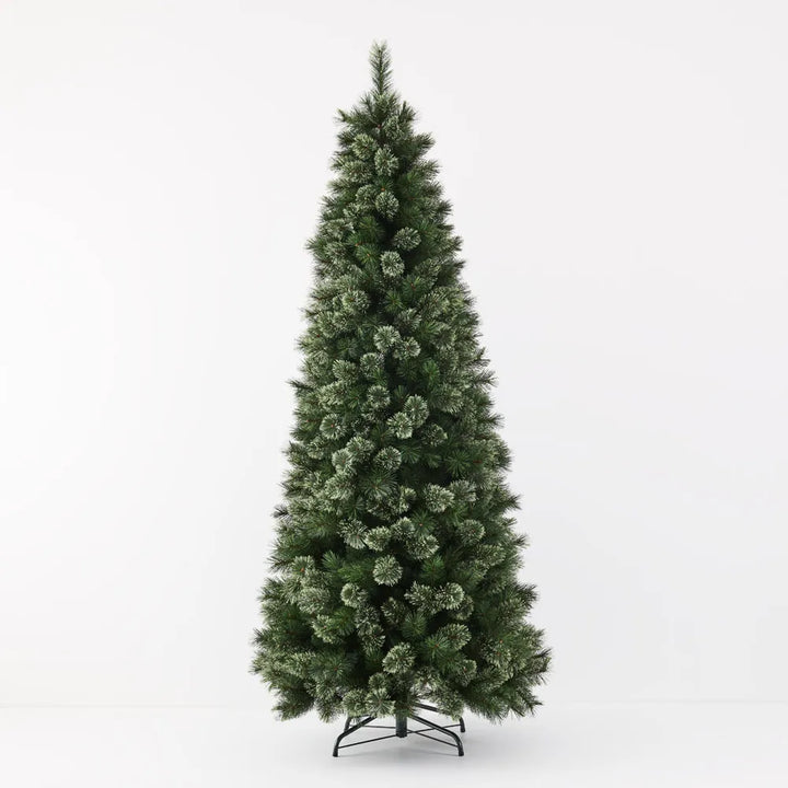 Alaskan Tree Pine 240cm