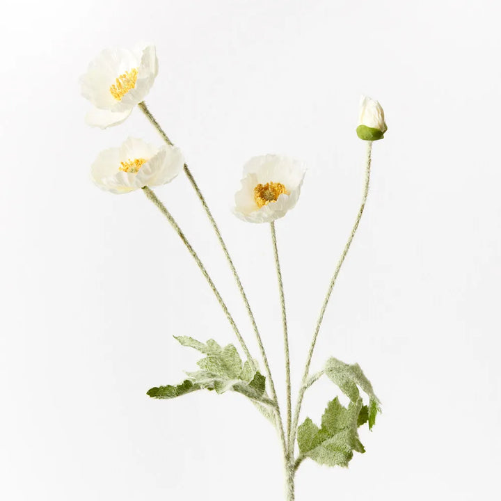 Poppy Iceland Spray -  White