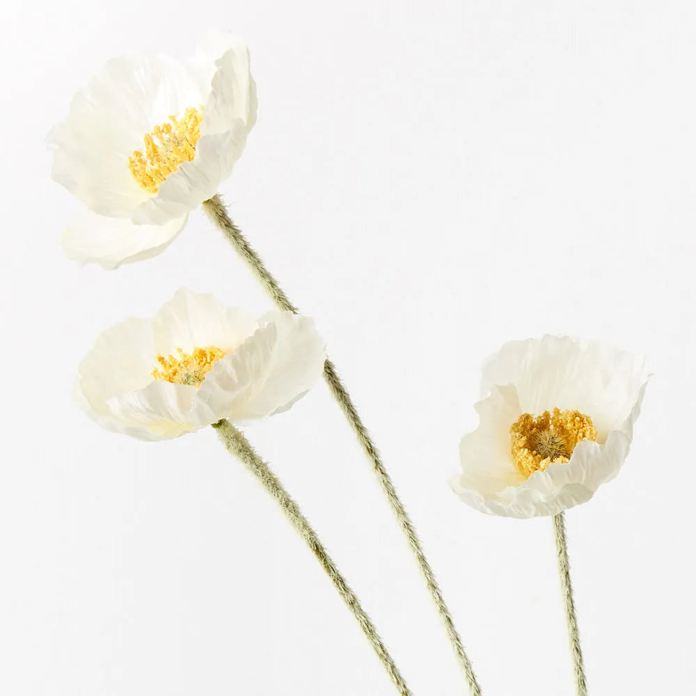 Poppy Iceland Spray -  White
